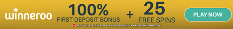 Winneroo Games Casino Review
