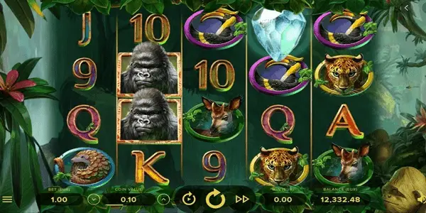 Gorilla Kingdom