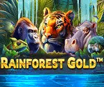 Rainforest Gold Video Slot Rainforest Gold Slot Online Casino Games Banner