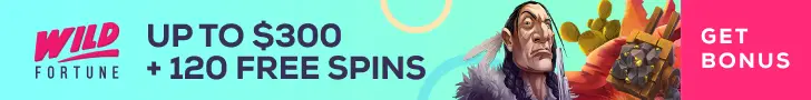 Wild Fortune Casino Review
