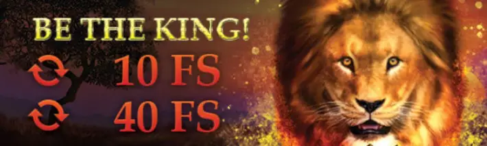 b-Bets Casino Free Spins
