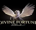 Divine Fortune Black Video Slot Divine Fortune Black Video Slot Net Entertainment