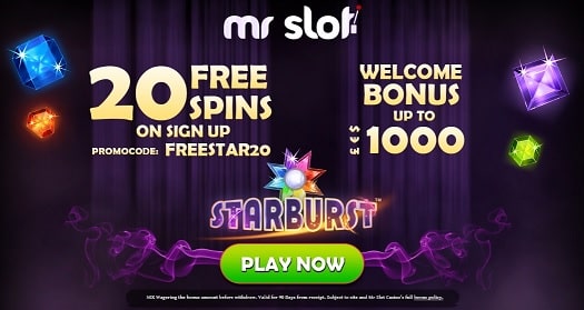 Mr Slot Bonus