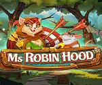 Ms Robin Hood Video Slot Ms Robin Hood Video Slot Net Entertainment
