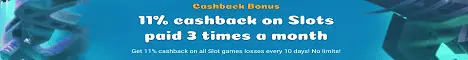 Samosa Casino Review