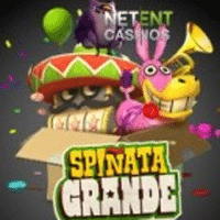 Spinata Grande Review