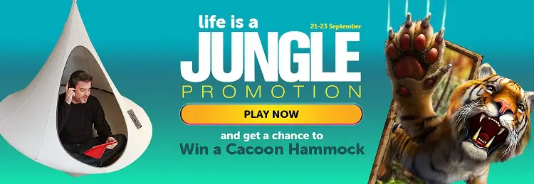 WildSlots Casino Promotion
